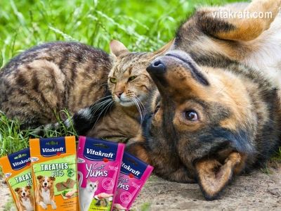 Cat Yums & Treates Bits Vitakraft - лакомства за кучета и котки