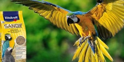 Здраве, чистота и свежест в дома на големите папагали