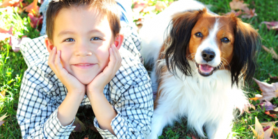 Здравословни лакомства за кучета от Vitakraft
