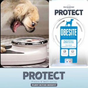 PROTECT DOG OBESITE - Ветеринарна диета за пълноценно хранене при затлъстяване и захарен диабет на базата на лечебната сила на растенията.