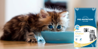 Храна за малки котета Pro-Nutrition Flatazor Crocktail Kitten