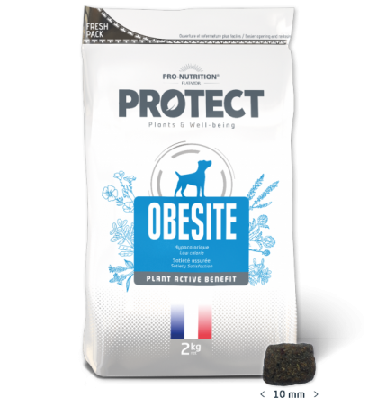 Пълноценна диетична храна за кучета с наднормено тегло, 2 кг - Pro-Nutrition Flatazor Protect Obesite - ниска калоричност, гарантирано засищане на глада, 75% протеини от животински произход