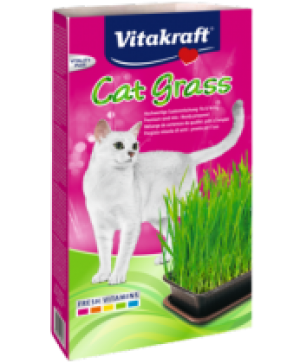 "Cat Grass" Котешка трева съд Витакрафт 24031 Хайгер